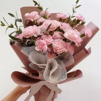 11 Кустовых Розовых Гвоздик