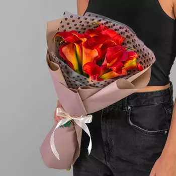 11 Оранжевых Калл