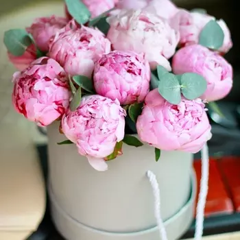 11 Пионов Сара Бернар в коробке