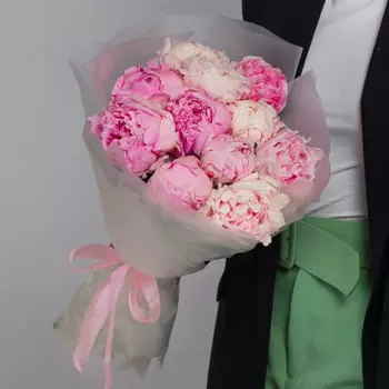 11 Пионов Сара Бернар в упаковке