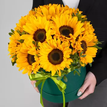 11 Подсолнухов в коробке