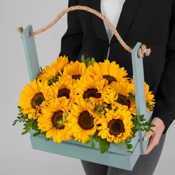 11 Подсолнухов в ящике