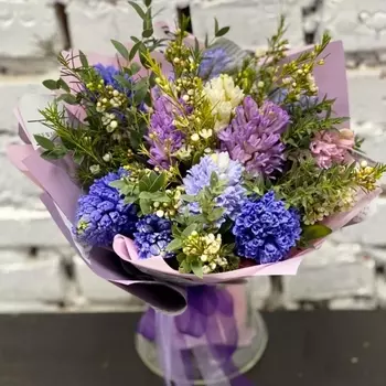 11 Разноцветных Гиацинтов