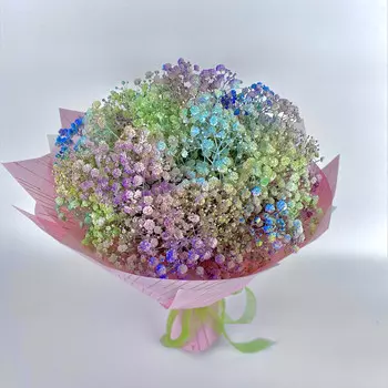 11 Разноцветных Гипсофил