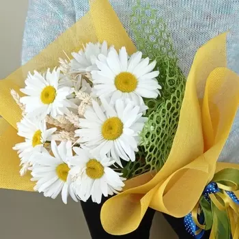 11 Крупных Ромашек с пшеницей