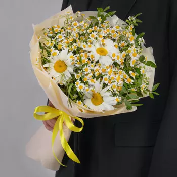 11 Ромашек Микс