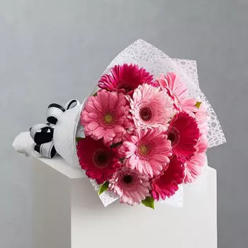 11 Розово-Малиновых Гербер