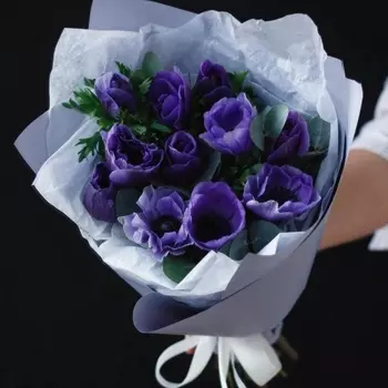 11 Синих Анемонов с эвкалиптом