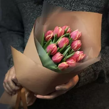 11 Тюльпанов Колумбус