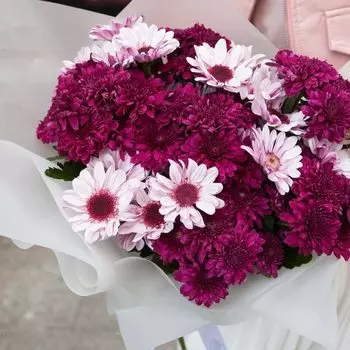 11 Ярких Хризантем Кустовых