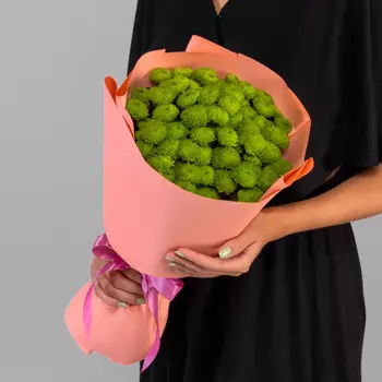 11 Зеленых Сантини