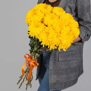 11 Желтых Хризантем Бигуди