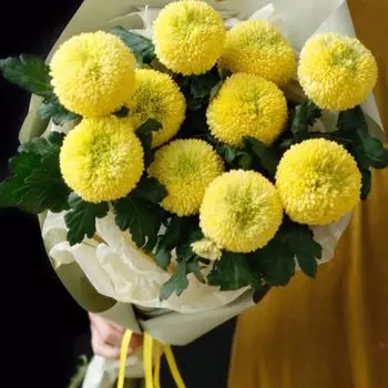 11 Желтых Хризантем Помпон
