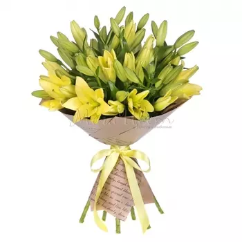 11 Желтых Лилий