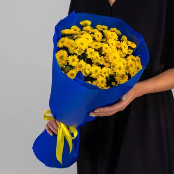 11 Желтых Сантини Ромашка