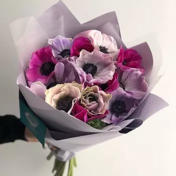 13 Анемонов Микс