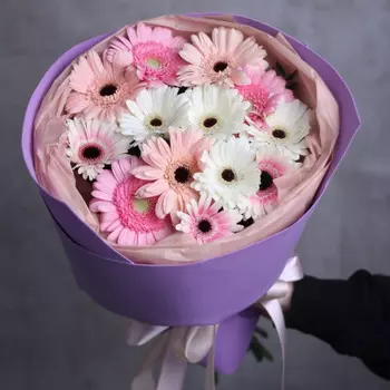 13 Разноцветных Гербер