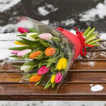 13 Тюльпанов Микс