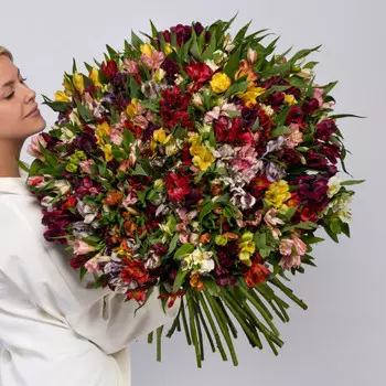 151 Альстромерия Микс