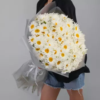 151 Крупная Ромашка