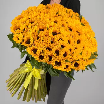 151 Подсолнух