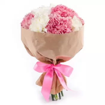 15 Бело-Розовых Гвоздик