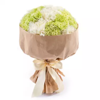 15 Бело-Зеленых Гвоздик