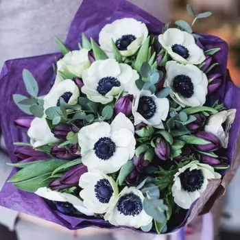 15 Белых Анемонов