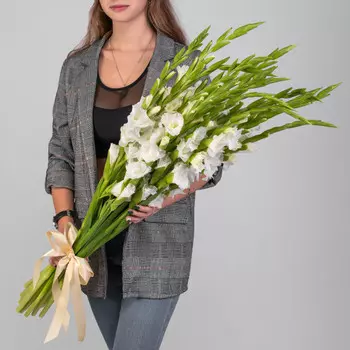 15 Белых Гладиолусов