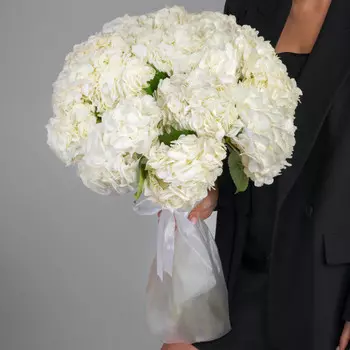 15 Белых Гортензий