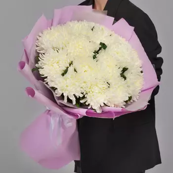 15 Белых Хризантем Антонов