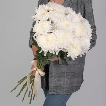 15 Белых Хризантем Бигуди