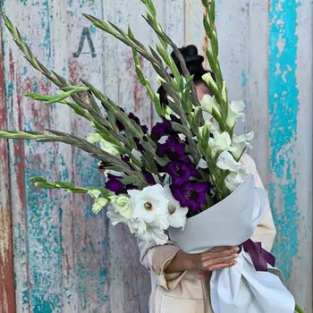 15 Белых и Фиолетовых Гладиолусов