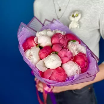 15 Белых и Малиновых Пионов