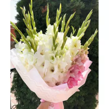 15 Белых и Розовых Гладиолусов