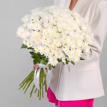 15 Белых Кустовых Хризантем