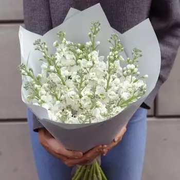 15 Белых Маттиол