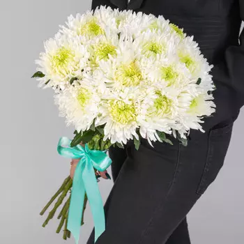 15 Белых Игольчатых Хризантем