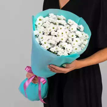 15 Белых Сантини Ромашка