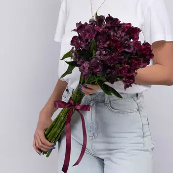 15 Фиолетовых Альстромерий