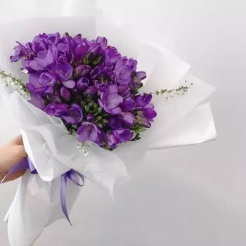 15 Фиолетовых Фрезий