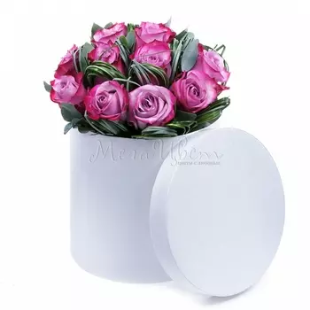 15 Фиолетовых Роз (40 см.) в коробке