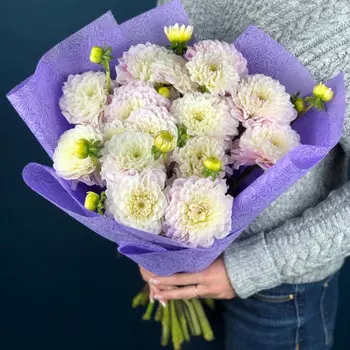 15 Георгинов Sweet Love