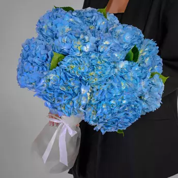 15 Голубых Гортензий