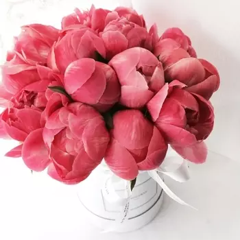 15 Коралловых Пионов в коробке