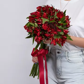 15 Красных Альстромерий