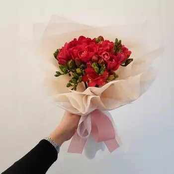 15 Красных Фрезий