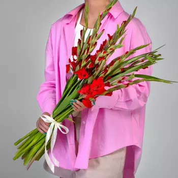 15 Красных Гладиолусов