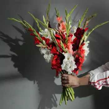 15 Гладиолусов Микс