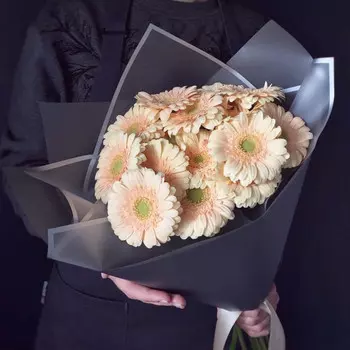 15 Кремовых Гербер